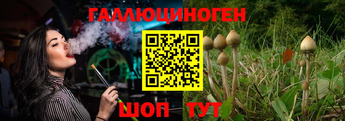 Псилоцибиновые грибы мицелий  Вход с VPN  Волгоград 